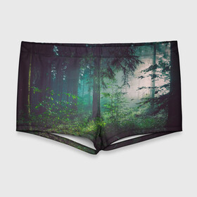 Мужские купальные плавки 3D с принтом Таинственный лес в Кировске, Полиэстер 85%, Спандекс 15% |  | Тематика изображения на принте: деревья | зелень | на макете изображен таинственный зеленый леслес