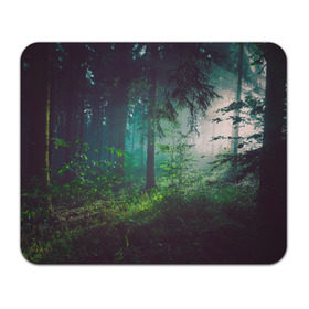 Коврик прямоугольный с принтом Таинственный лес в Кировске, натуральный каучук | размер 230 х 185 мм; запечатка лицевой стороны | деревья | зелень | на макете изображен таинственный зеленый леслес