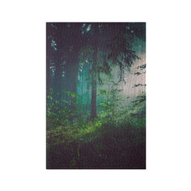 Обложка для паспорта матовая кожа с принтом Таинственный лес в Кировске, натуральная матовая кожа | размер 19,3 х 13,7 см; прозрачные пластиковые крепления | деревья | зелень | на макете изображен таинственный зеленый леслес