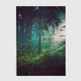 Постер с принтом Таинственный лес в Кировске, 100% бумага
 | бумага, плотность 150 мг. Матовая, но за счет высокого коэффициента гладкости имеет небольшой блеск и дает на свету блики, но в отличии от глянцевой бумаги не покрыта лаком | деревья | зелень | на макете изображен таинственный зеленый леслес