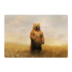 Магнитный плакат 3Х2 с принтом Медведь в поле в Кировске, Полимерный материал с магнитным слоем | 6 деталей размером 9*9 см | bear | медведь | одуванчики | русский медведь в чистом русском поле мечта патриотаполе | сено