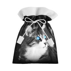 Подарочный 3D мешок с принтом Кот в Кировске, 100% полиэстер | Размер: 29*39 см | Тематика изображения на принте: взгляд | глаза | голубые | кот