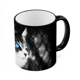 Кружка 3D с принтом Кот в Кировске, керамика | ёмкость 330 мл | взгляд | глаза | голубые | кот