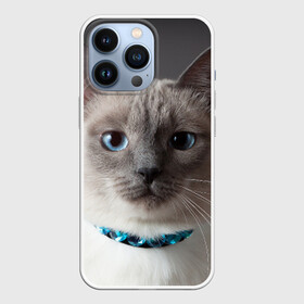 Чехол для iPhone 13 Pro с принтом Кот в Кировске,  |  | Тематика изображения на принте: домашняя | животное | кот | котэ | кошка