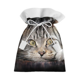 Подарочный 3D мешок с принтом Кот в Кировске, 100% полиэстер | Размер: 29*39 см | домашняя | животное | кот | котэ | кошка