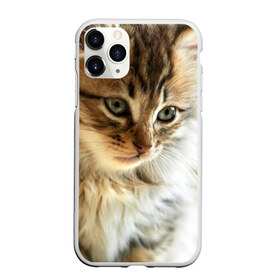 Чехол для iPhone 11 Pro матовый с принтом Кот в Кировске, Силикон |  | домашняя | животное | кот | котэ | кошка