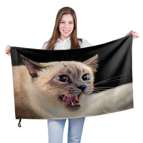 Флаг 3D с принтом Кот в Кировске, 100% полиэстер | плотность ткани — 95 г/м2, размер — 67 х 109 см. Принт наносится с одной стороны | домашняя | животное | кот | котэ | кошка
