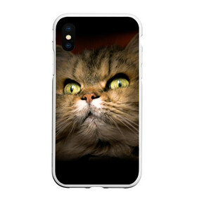 Чехол для iPhone XS Max матовый с принтом Кот в Кировске, Силикон | Область печати: задняя сторона чехла, без боковых панелей | Тематика изображения на принте: домашняя | животное | кот | котэ | кошка