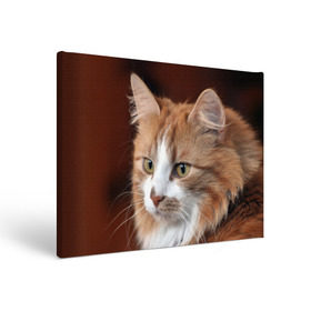 Холст прямоугольный с принтом Кот в Кировске, 100% ПВХ |  | Тематика изображения на принте: домашняя | животное | кот | котэ | кошка