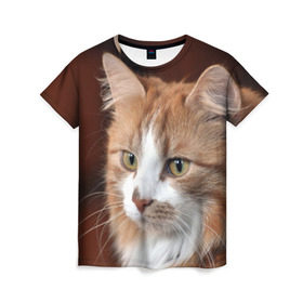 Женская футболка 3D с принтом Кот в Кировске, 100% полиэфир ( синтетическое хлопкоподобное полотно) | прямой крой, круглый вырез горловины, длина до линии бедер | домашняя | животное | кот | котэ | кошка