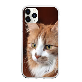Чехол для iPhone 11 Pro матовый с принтом Кот в Кировске, Силикон |  | Тематика изображения на принте: домашняя | животное | кот | котэ | кошка