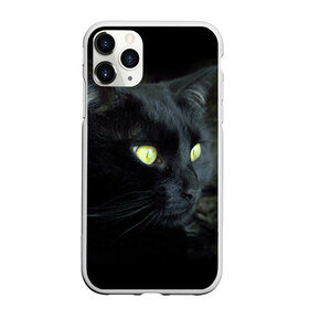 Чехол для iPhone 11 Pro матовый с принтом Черный в Кировске, Силикон |  | домашняя | животное | кот | котэ | кошка | черный