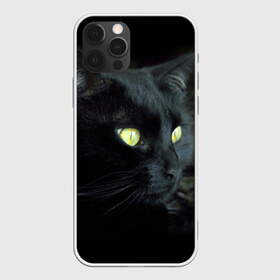 Чехол для iPhone 12 Pro Max с принтом Черный в Кировске, Силикон |  | Тематика изображения на принте: домашняя | животное | кот | котэ | кошка | черный