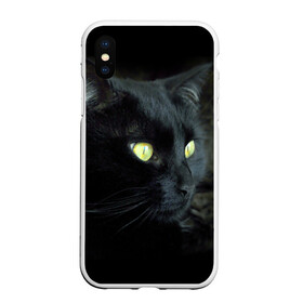 Чехол для iPhone XS Max матовый с принтом Черный в Кировске, Силикон | Область печати: задняя сторона чехла, без боковых панелей | Тематика изображения на принте: домашняя | животное | кот | котэ | кошка | черный