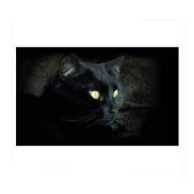 Бумага для упаковки 3D с принтом Черный в Кировске, пластик и полированная сталь | круглая форма, металлическое крепление в виде кольца | Тематика изображения на принте: домашняя | животное | кот | котэ | кошка | черный