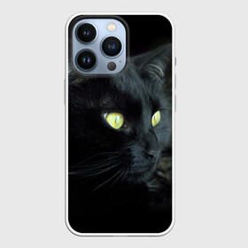 Чехол для iPhone 13 Pro с принтом Черный в Кировске,  |  | Тематика изображения на принте: домашняя | животное | кот | котэ | кошка | черный