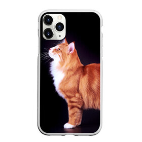 Чехол для iPhone 11 Pro матовый с принтом Рыжий кот в Кировске, Силикон |  | домашняя | животное | кот | котэ | кошка | рыжая