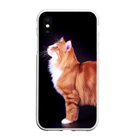 Чехол для iPhone XS Max матовый с принтом Рыжий кот в Кировске, Силикон | Область печати: задняя сторона чехла, без боковых панелей | Тематика изображения на принте: домашняя | животное | кот | котэ | кошка | рыжая