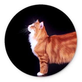 Коврик круглый с принтом Рыжий кот в Кировске, резина и полиэстер | круглая форма, изображение наносится на всю лицевую часть | Тематика изображения на принте: домашняя | животное | кот | котэ | кошка | рыжая