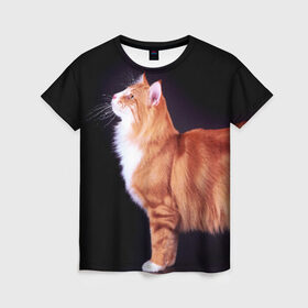 Женская футболка 3D с принтом Рыжий кот в Кировске, 100% полиэфир ( синтетическое хлопкоподобное полотно) | прямой крой, круглый вырез горловины, длина до линии бедер | домашняя | животное | кот | котэ | кошка | рыжая