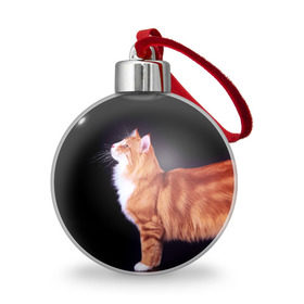 Ёлочный шар с принтом Рыжий кот в Кировске, Пластик | Диаметр: 77 мм | домашняя | животное | кот | котэ | кошка | рыжая