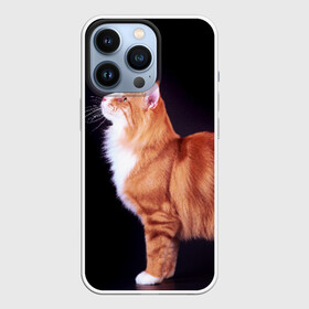 Чехол для iPhone 13 Pro с принтом Рыжий кот в Кировске,  |  | Тематика изображения на принте: домашняя | животное | кот | котэ | кошка | рыжая