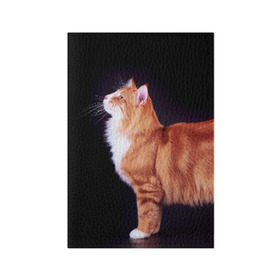 Обложка для паспорта матовая кожа с принтом Рыжий кот в Кировске, натуральная матовая кожа | размер 19,3 х 13,7 см; прозрачные пластиковые крепления | Тематика изображения на принте: домашняя | животное | кот | котэ | кошка | рыжая
