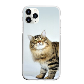 Чехол для iPhone 11 Pro матовый с принтом Кот в Кировске, Силикон |  | домашняя | животное | кот | котэ | кошка