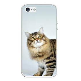 Чехол силиконовый для Телефон Apple iPhone 5/5S с принтом Кот в Кировске, Силикон | Область печати: задняя сторона чехла, без боковых панелей | Тематика изображения на принте: домашняя | животное | кот | котэ | кошка