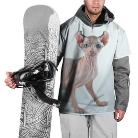 Накидка на куртку 3D с принтом Сфинкс в Кировске, 100% полиэстер |  | Тематика изображения на принте: домашняя | животное | кот | котэ | кошка | сфинкс