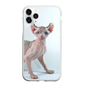 Чехол для iPhone 11 Pro матовый с принтом Сфинкс в Кировске, Силикон |  | Тематика изображения на принте: домашняя | животное | кот | котэ | кошка | сфинкс
