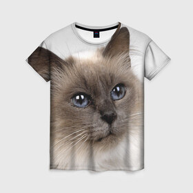 Женская футболка 3D с принтом Кот в Кировске, 100% полиэфир ( синтетическое хлопкоподобное полотно) | прямой крой, круглый вырез горловины, длина до линии бедер | домашняя | животное | кот | котэ | кошка