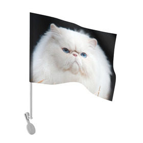 Флаг для автомобиля с принтом Персидский кот в Кировске, 100% полиэстер | Размер: 30*21 см | домашняя | животное | кот | котэ | кошка | персидский