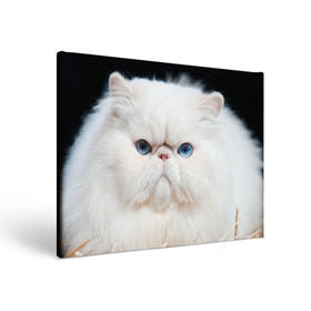 Холст прямоугольный с принтом Персидский кот в Кировске, 100% ПВХ |  | Тематика изображения на принте: домашняя | животное | кот | котэ | кошка | персидский