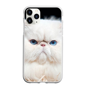 Чехол для iPhone 11 Pro матовый с принтом Персидский кот в Кировске, Силикон |  | домашняя | животное | кот | котэ | кошка | персидский
