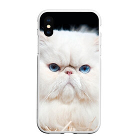 Чехол для iPhone XS Max матовый с принтом Персидский кот в Кировске, Силикон | Область печати: задняя сторона чехла, без боковых панелей | Тематика изображения на принте: домашняя | животное | кот | котэ | кошка | персидский