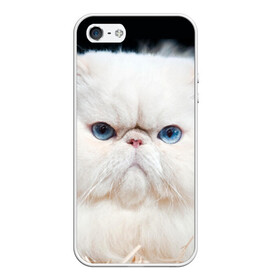 Чехол для iPhone 5/5S матовый с принтом Персидский кот в Кировске, Силикон | Область печати: задняя сторона чехла, без боковых панелей | домашняя | животное | кот | котэ | кошка | персидский