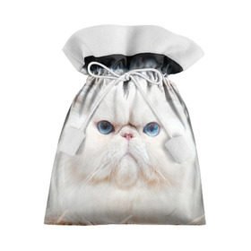 Подарочный 3D мешок с принтом Персидский кот в Кировске, 100% полиэстер | Размер: 29*39 см | Тематика изображения на принте: домашняя | животное | кот | котэ | кошка | персидский