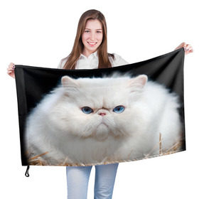 Флаг 3D с принтом Персидский кот в Кировске, 100% полиэстер | плотность ткани — 95 г/м2, размер — 67 х 109 см. Принт наносится с одной стороны | домашняя | животное | кот | котэ | кошка | персидский