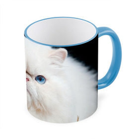 Кружка 3D с принтом Персидский кот в Кировске, керамика | ёмкость 330 мл | Тематика изображения на принте: домашняя | животное | кот | котэ | кошка | персидский