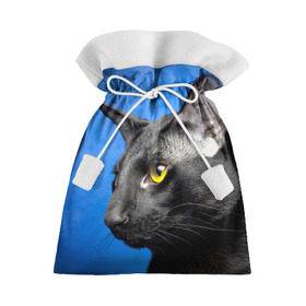 Подарочный 3D мешок с принтом Черный кот в Кировске, 100% полиэстер | Размер: 29*39 см | Тематика изображения на принте: домашняя | животное | кот | котэ | кошка | черный