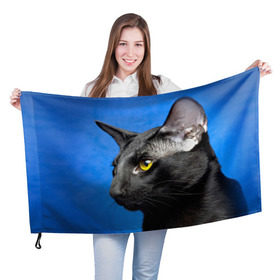 Флаг 3D с принтом Черный кот в Кировске, 100% полиэстер | плотность ткани — 95 г/м2, размер — 67 х 109 см. Принт наносится с одной стороны | домашняя | животное | кот | котэ | кошка | черный