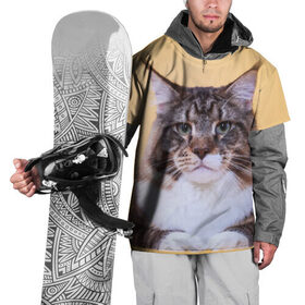 Накидка на куртку 3D с принтом Байкун в Кировске, 100% полиэстер |  | байкун | домашняя | животное | кот | котэ | кошка