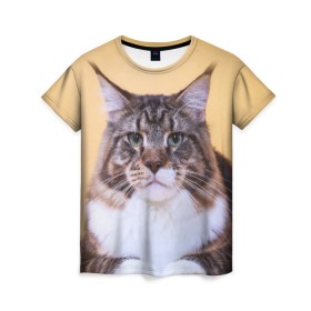Женская футболка 3D с принтом Байкун в Кировске, 100% полиэфир ( синтетическое хлопкоподобное полотно) | прямой крой, круглый вырез горловины, длина до линии бедер | байкун | домашняя | животное | кот | котэ | кошка