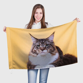 Флаг 3D с принтом Байкун в Кировске, 100% полиэстер | плотность ткани — 95 г/м2, размер — 67 х 109 см. Принт наносится с одной стороны | байкун | домашняя | животное | кот | котэ | кошка