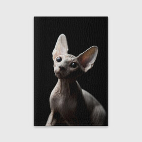 Обложка для паспорта матовая кожа с принтом Сфинкс в Кировске, натуральная матовая кожа | размер 19,3 х 13,7 см; прозрачные пластиковые крепления | домашняя | животное | кот | котэ | кошка | сфинкс