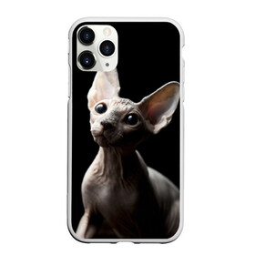Чехол для iPhone 11 Pro матовый с принтом Сфинкс в Кировске, Силикон |  | Тематика изображения на принте: домашняя | животное | кот | котэ | кошка | сфинкс