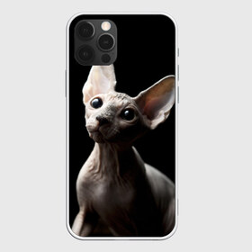 Чехол для iPhone 12 Pro Max с принтом Сфинкс в Кировске, Силикон |  | Тематика изображения на принте: домашняя | животное | кот | котэ | кошка | сфинкс