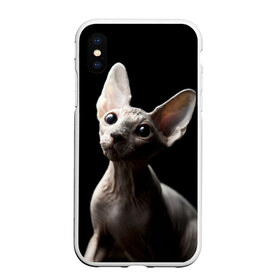 Чехол для iPhone XS Max матовый с принтом Сфинкс в Кировске, Силикон | Область печати: задняя сторона чехла, без боковых панелей | Тематика изображения на принте: домашняя | животное | кот | котэ | кошка | сфинкс