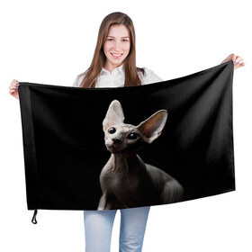 Флаг 3D с принтом Сфинкс в Кировске, 100% полиэстер | плотность ткани — 95 г/м2, размер — 67 х 109 см. Принт наносится с одной стороны | домашняя | животное | кот | котэ | кошка | сфинкс